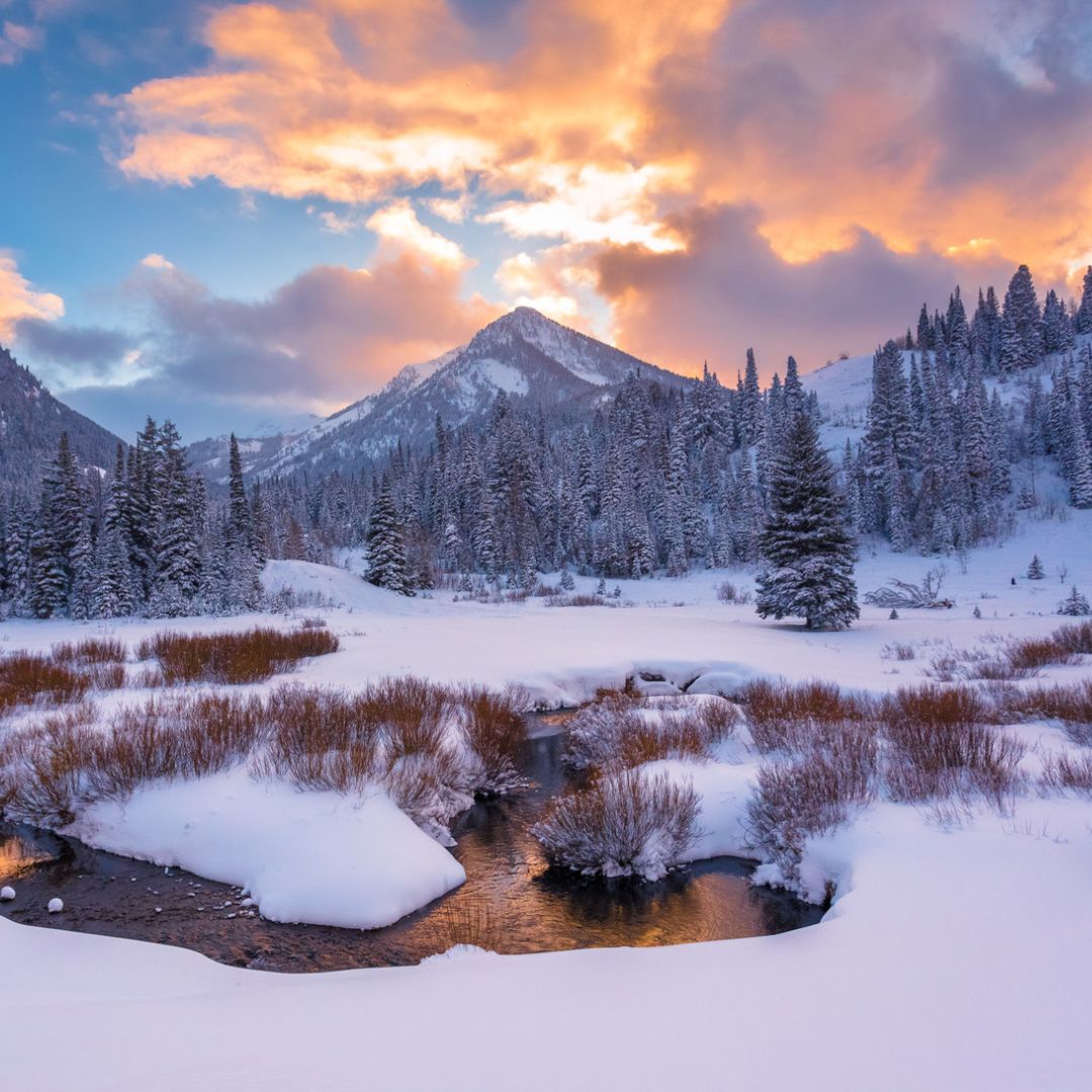 Winter scene of mountains, pine trees, and river