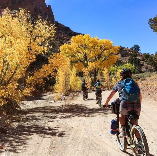 Family biking on autumn trail