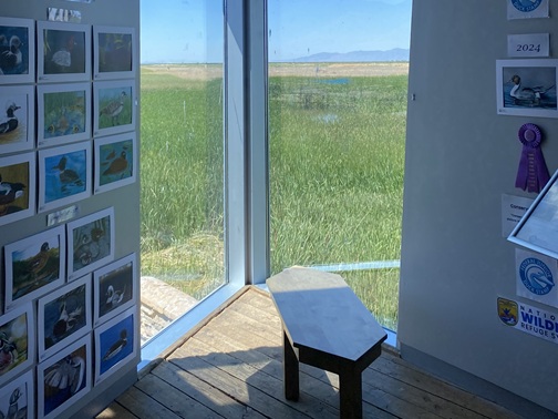 Looking out a building's interior windows at a field