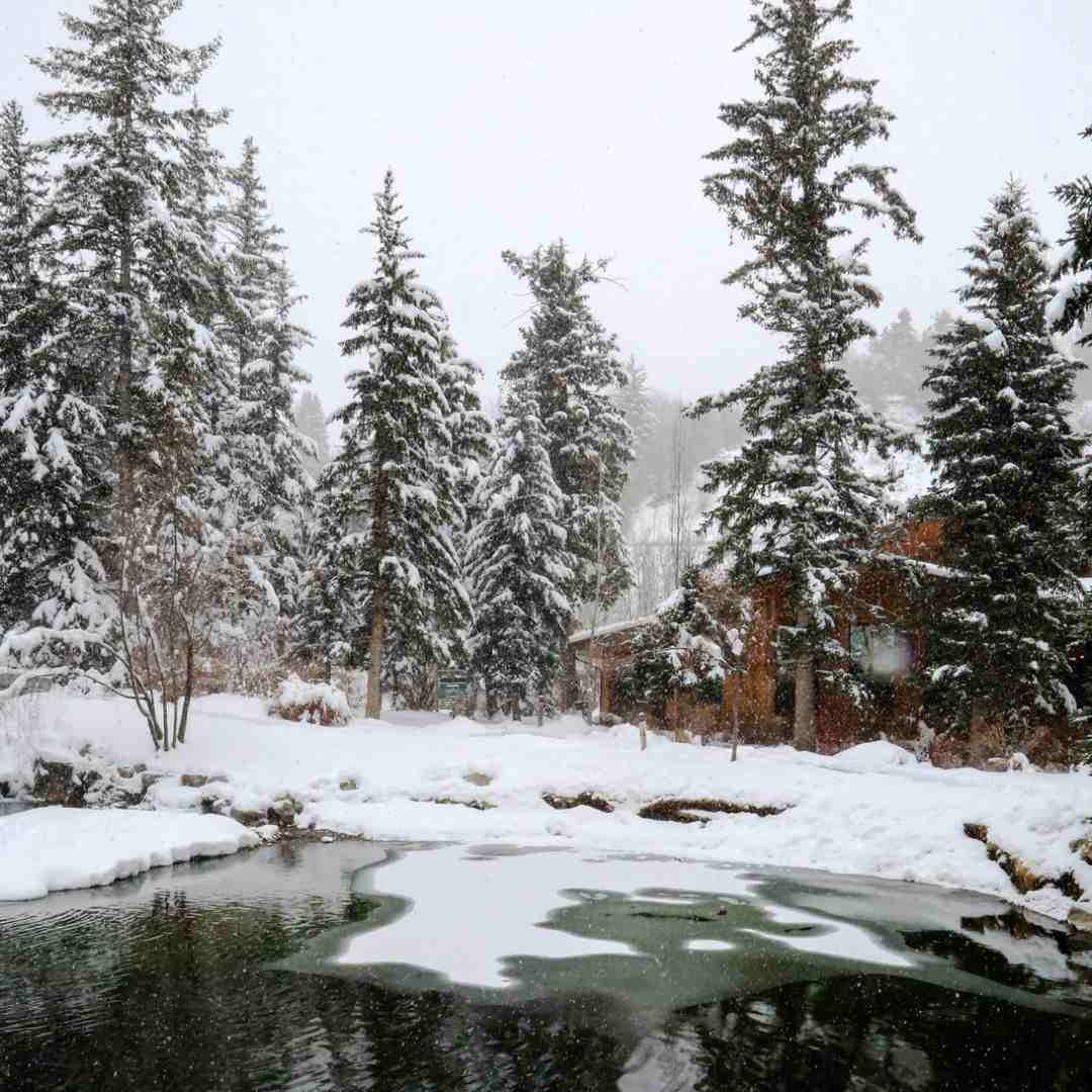 Snow of forest trees with cabin on lake