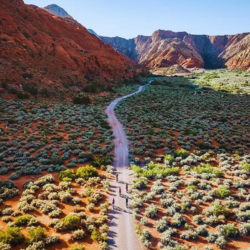 Bikers on trail through vegetation and red rock canyons