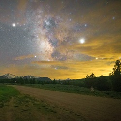 Night sky with stars over forest tress and road