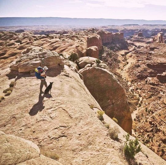 Man and dog overlooking red rock formations