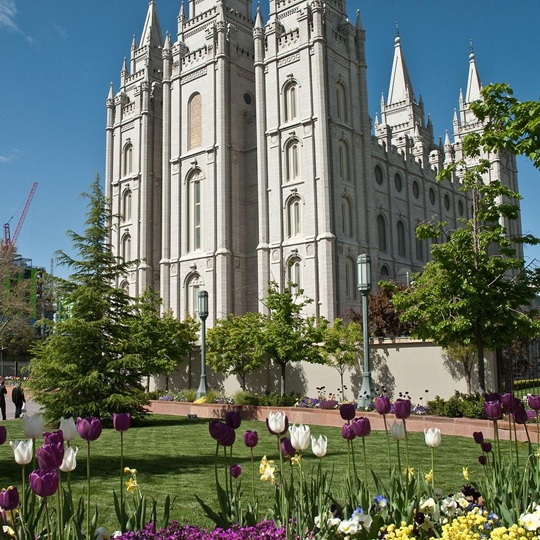 Majestic building with garden