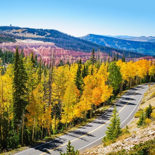 Road next to trees with autumn leaves, red rock formations, and forest mountains